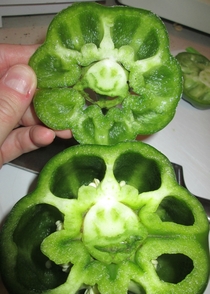 Almost didnt want to eat the bell pepper I cut open Just looked too happy to see me
