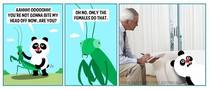 Always fear a mantis