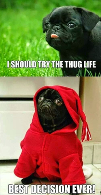 Always try the thug life