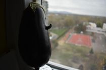 Am i just an eggplant