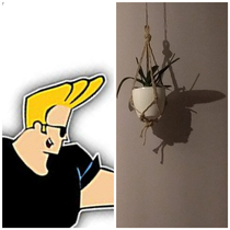 Am I the only one who thinks the shadow of my orchid looks like Jonny bravo