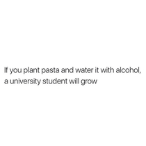 Am university student can confirm