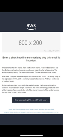 Amazon accidentally sent out their email template and its hilarious