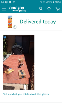 Amazon delivered a package today and encountered my guard dog