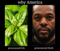 American herbs 