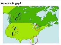 Americans are gay