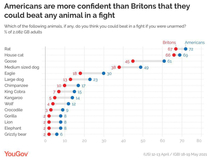 Americans are more confident than Britons they could beat an animal in a fight