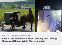 Amish man is the new Florida man