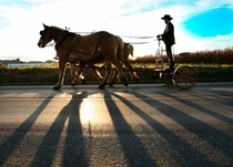 Amish Segway