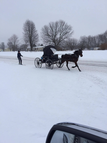 Amish Winter in Indiana Horsies are All Wheel Drive