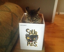 An Appropriate Box for Such a Mood