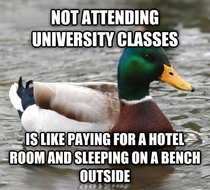 An important lesson for all university students