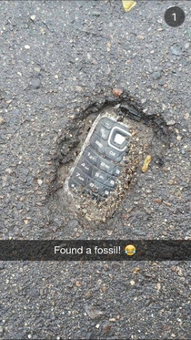 An interesting fossil