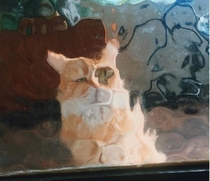 An Picasso cat