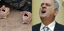 An uncanny resemblance