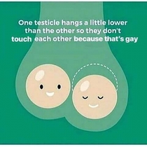 And also if you say not homo than its also not gay