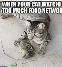 And for today dish