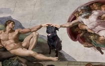 And God said onto Man Pet the Darn Dog