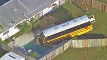 And here we see the wild school bus drinking from a pool
