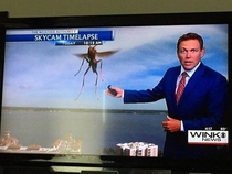 and I for one welcome our new insect overlords
