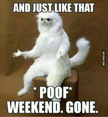 And Just Like that Poof WEEKEND GONE