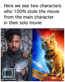 And the cat had more acting skills though