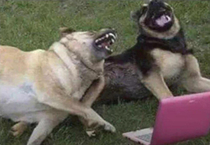 And then he said Come in he doesnt bite And I bit him 