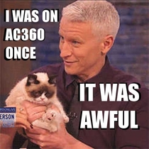 Anderson Cooper  Grumpy Cat  Awful