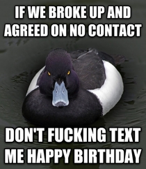 Angry Birthday Mallard