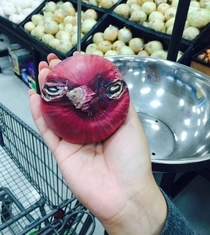 Angry Onion Bird