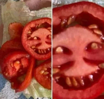 Angry tomato 