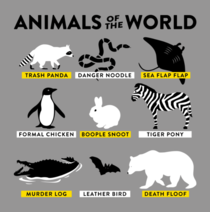 Animals of the world