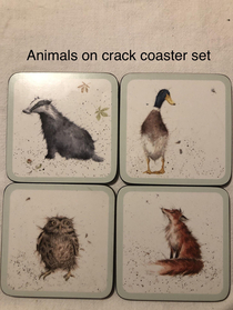 Animals on crack coaster set