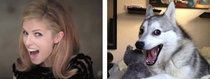 Anna Kendricks celebrity look-alike