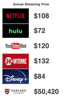 Annual Streaming Price