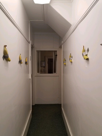 Anonymous coworker turns our office hallway into high-end art gallery