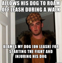 Another of If your dog isnt trained keep it on a leash in public