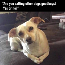 Answer me Hooman