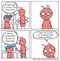 Ant Story