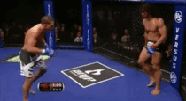 Anthony Pettis flying kick of the cage