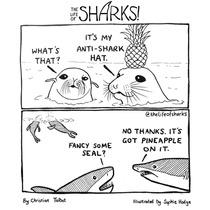 Anti-Shark Hat 