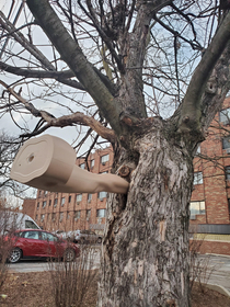 Anyone lose the bottom half of their mannequin Its hanging out in a tree outside my house