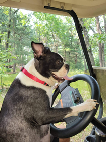 Anyone want a ride