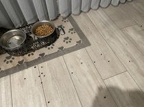 Anyones dog do this He purposely filters out the black kibble parts and spits them on the ground