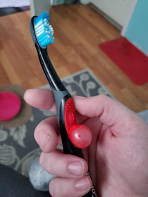Apparently my toothbrush got pregnant last night
