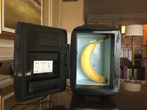Apparently our hotel took our request for a mini-fridge very literally Banana for scale