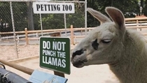 Apparently the zoo doesnt appreciate the way some visitors take out their rage