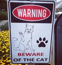 Apparently their cat is a Disney villain