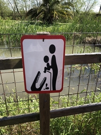 Apparently this is where you drop off babies to be eaten by alligators