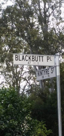 Are we doing Street signs Cause this was by far the funniest one I ever came across